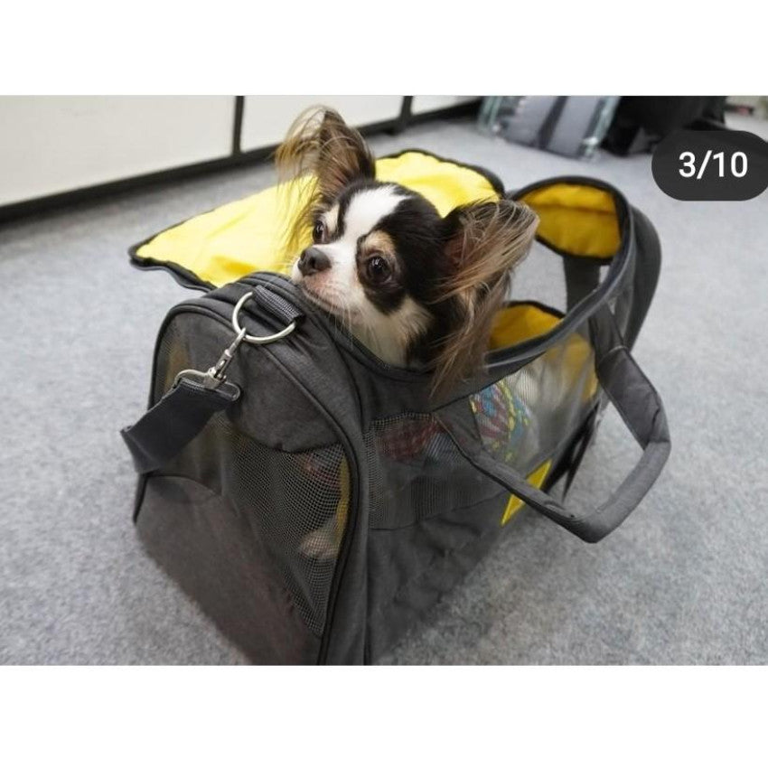 Zu&Lu - MELINDA Feather light Transport Carrier L size