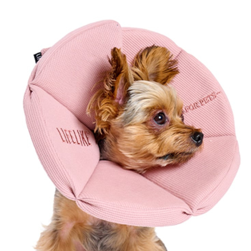 Lifelike - Recovery Collar