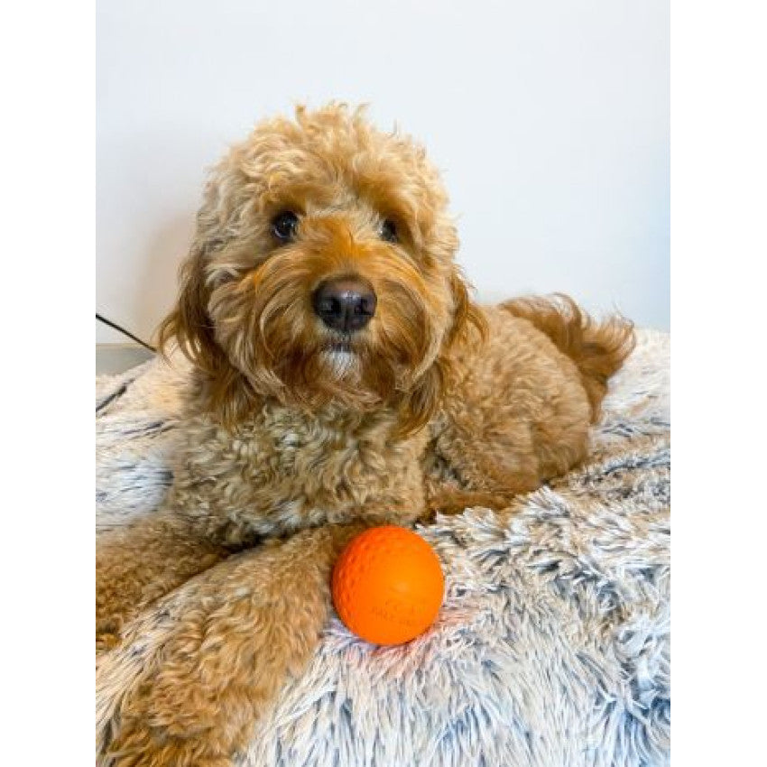 Tall Tails Toy Rubber - G.O.A.T. Ball Medium - 3" Orange