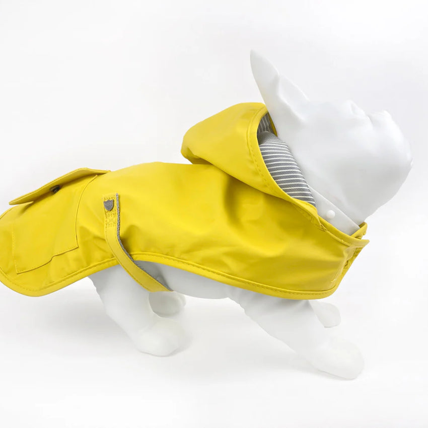 Sydney & Co. - Rain Coat - Yellow