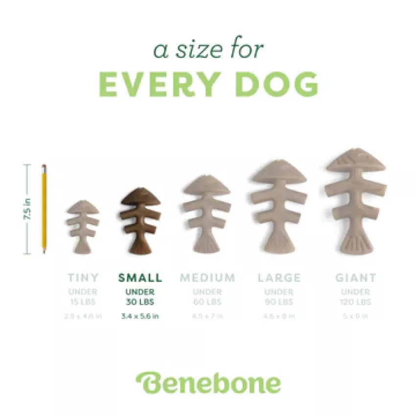 Benebone - Fishbone Durable Dog Chew - Jack Salmon Flavor (Small)