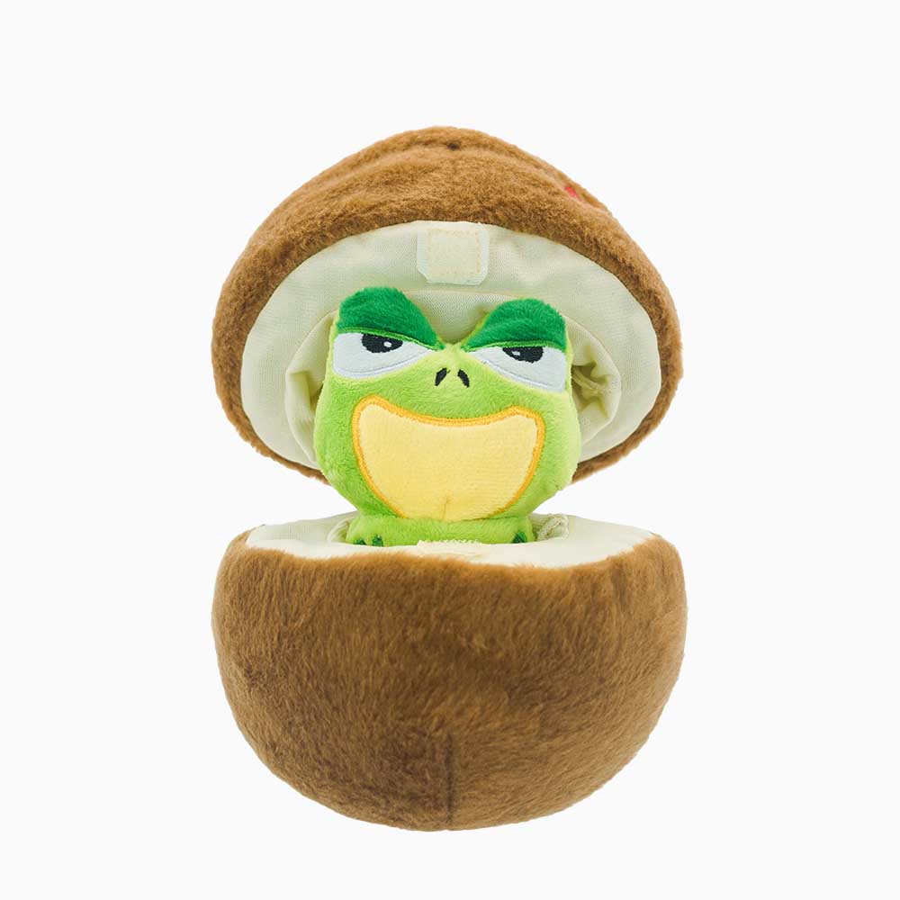 HugSmart - Fruity Critterz - Coconut Dog Toy