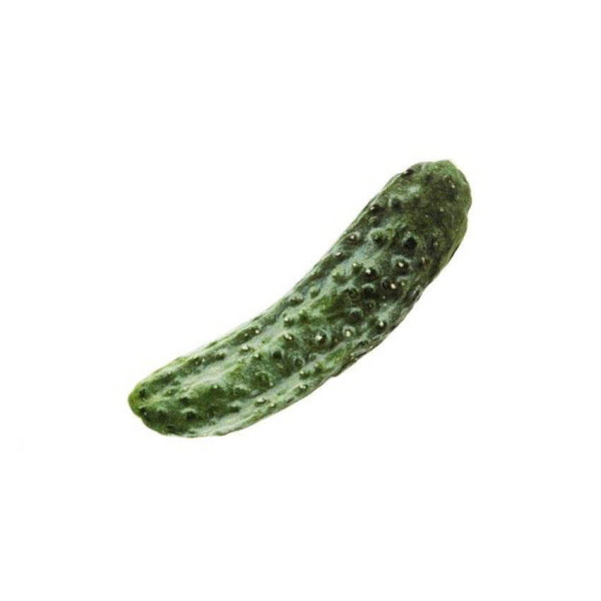 Ferribiella - Cucumber Matatabi Cat Toy