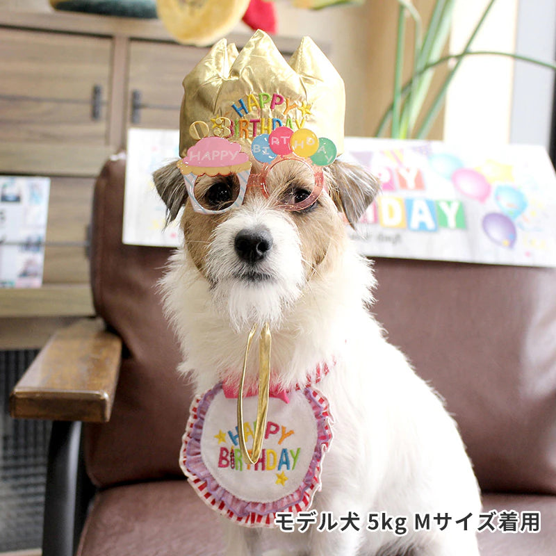 Lifelike – Birthday Celebration Glasses
