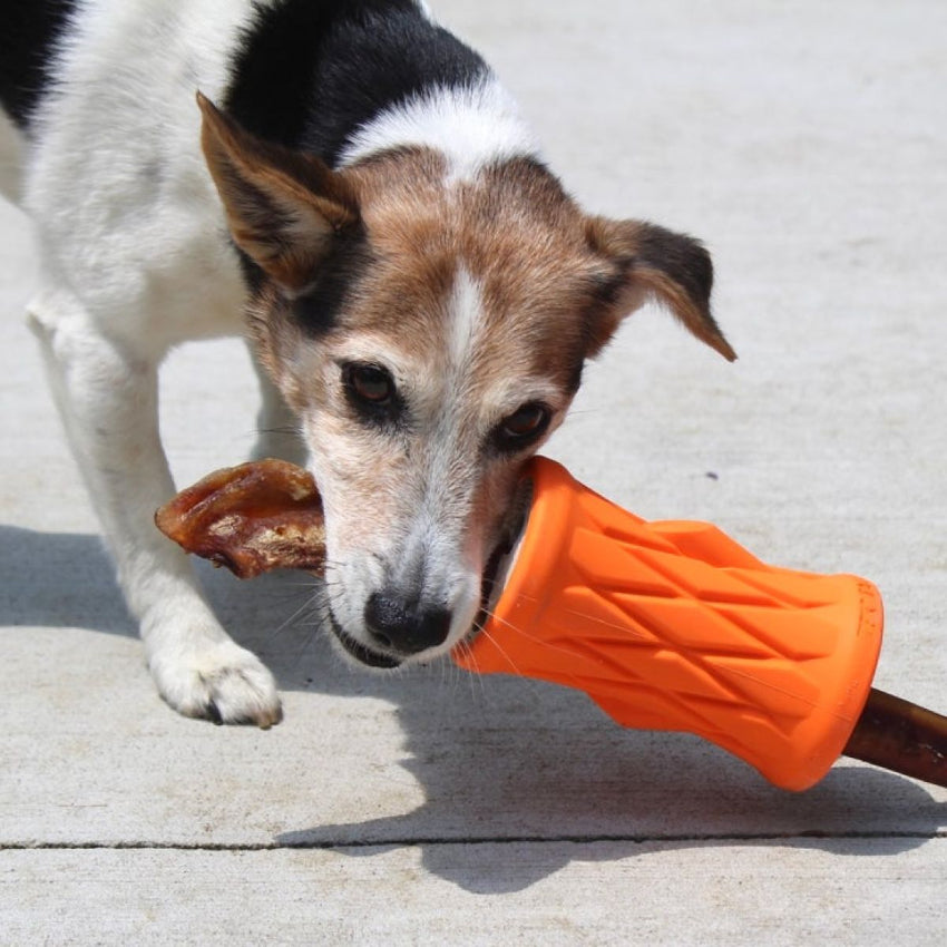 Tall Tails - Rubber Toy - Natural Rubber Trunk Toy