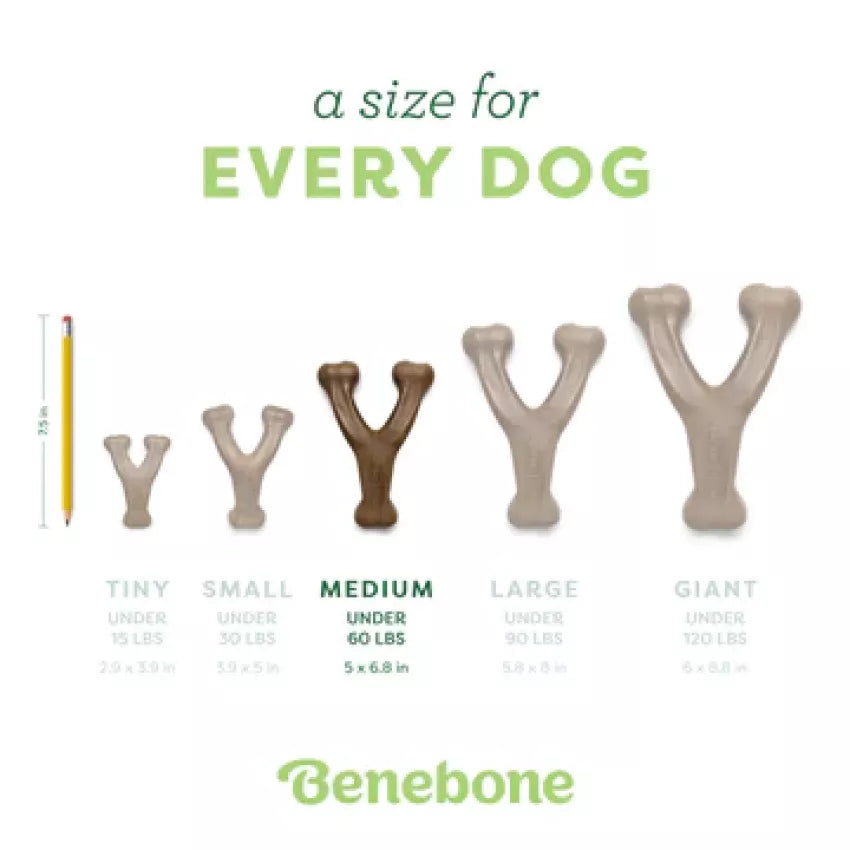 Benebone - Wishbone Durable Dog Chew - Bacon Flavor (Medium)