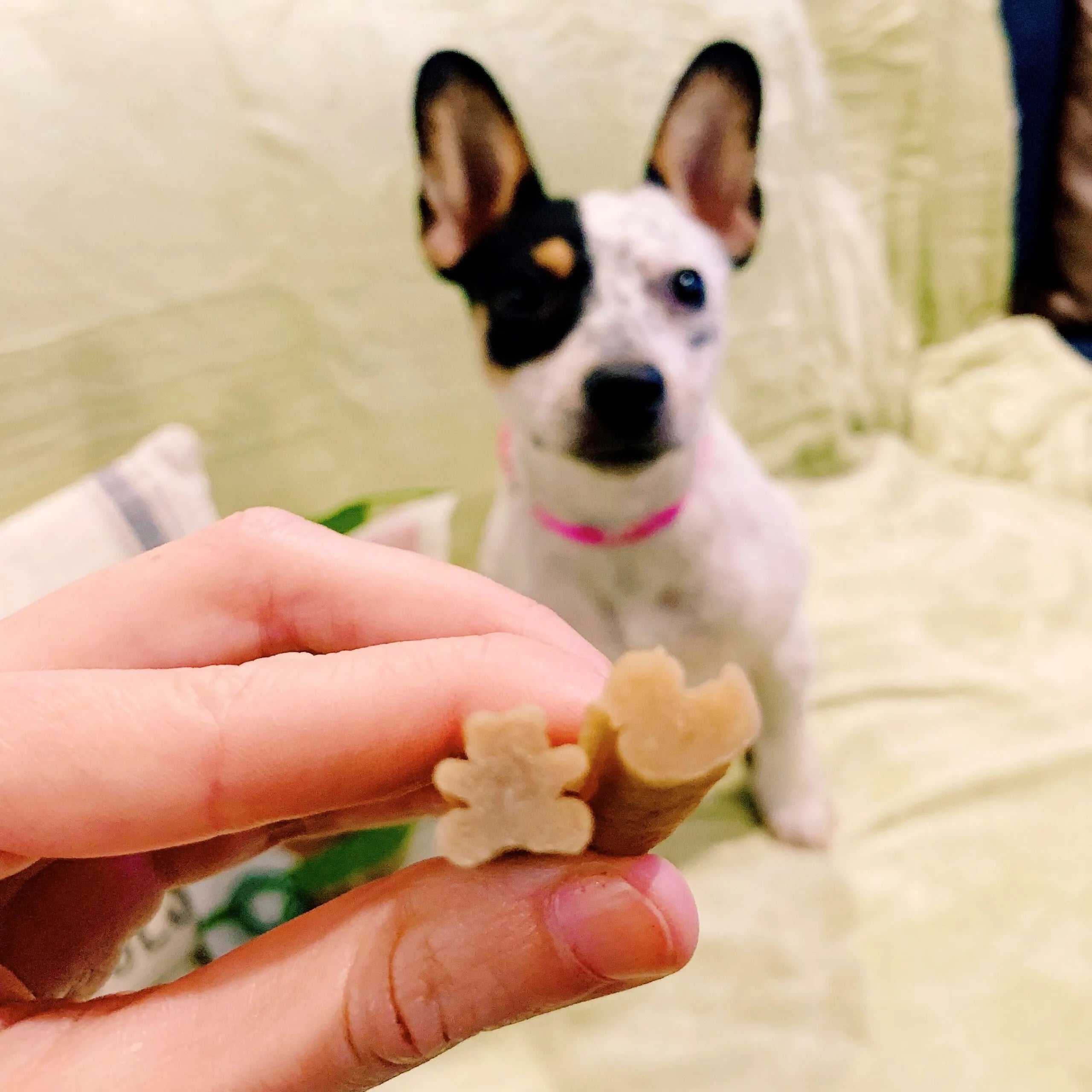 Whimzees Natural Daily Dental Treats - Puppy (28ct)
