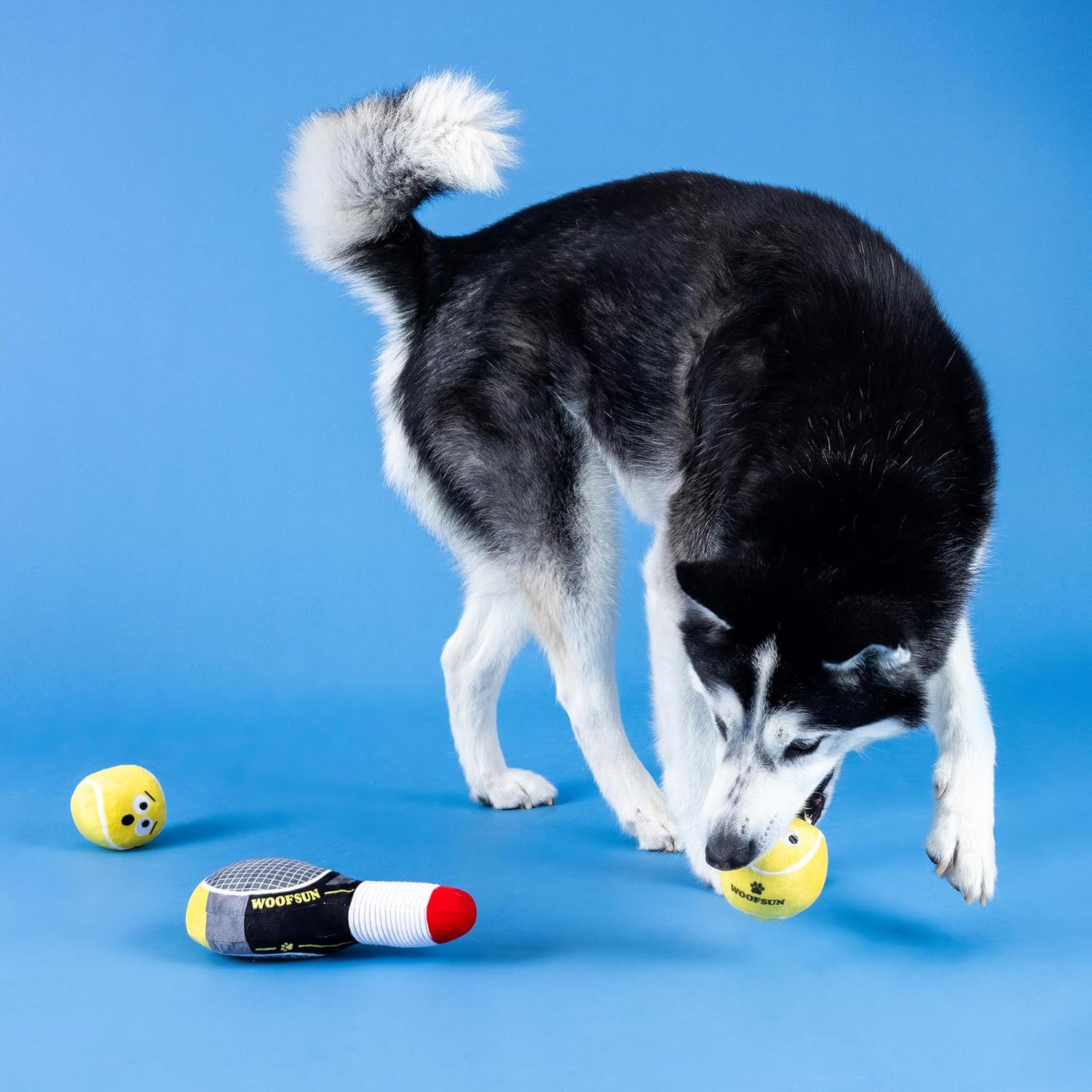 Petshop - SERVING ACES DOG TOYS - 3 PCS