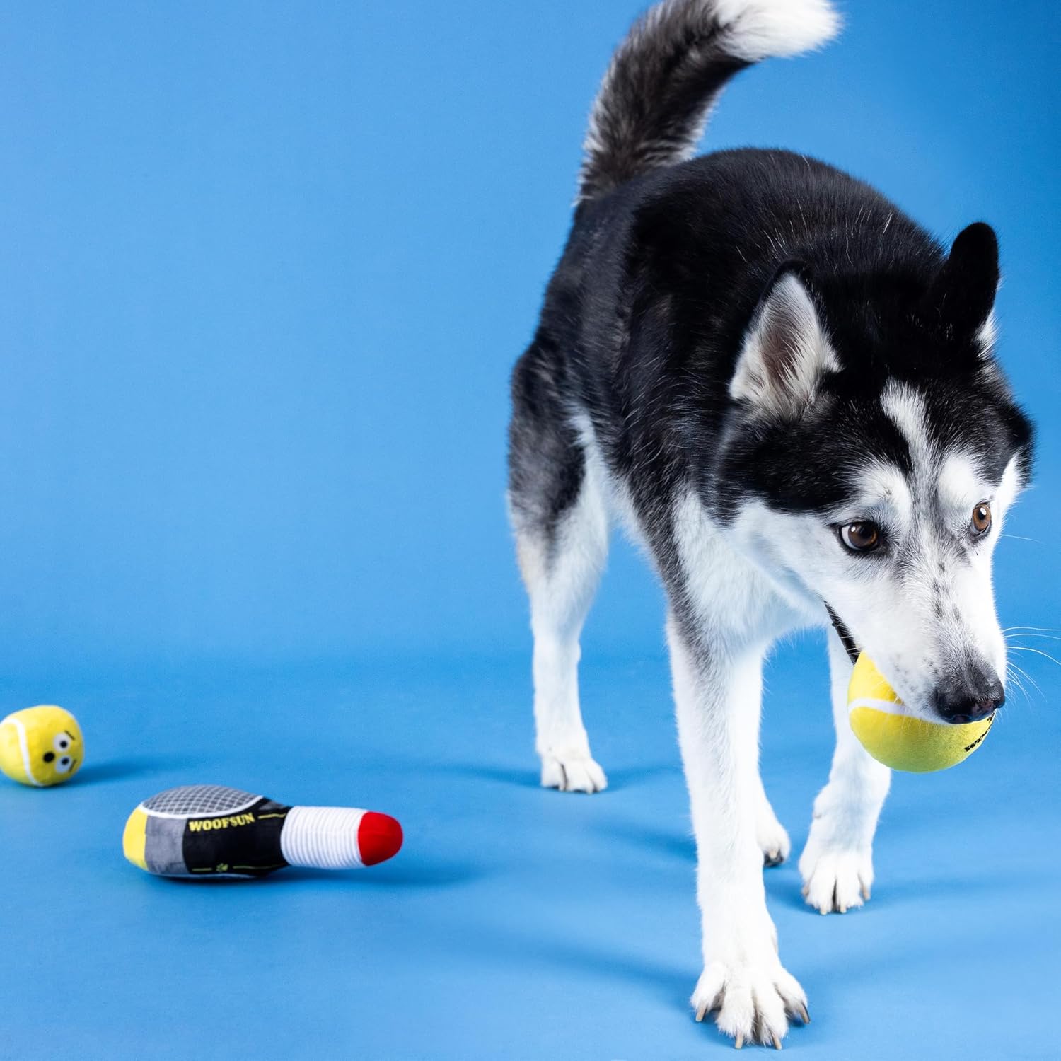 Petshop - SERVING ACES DOG TOYS - 3 PCS