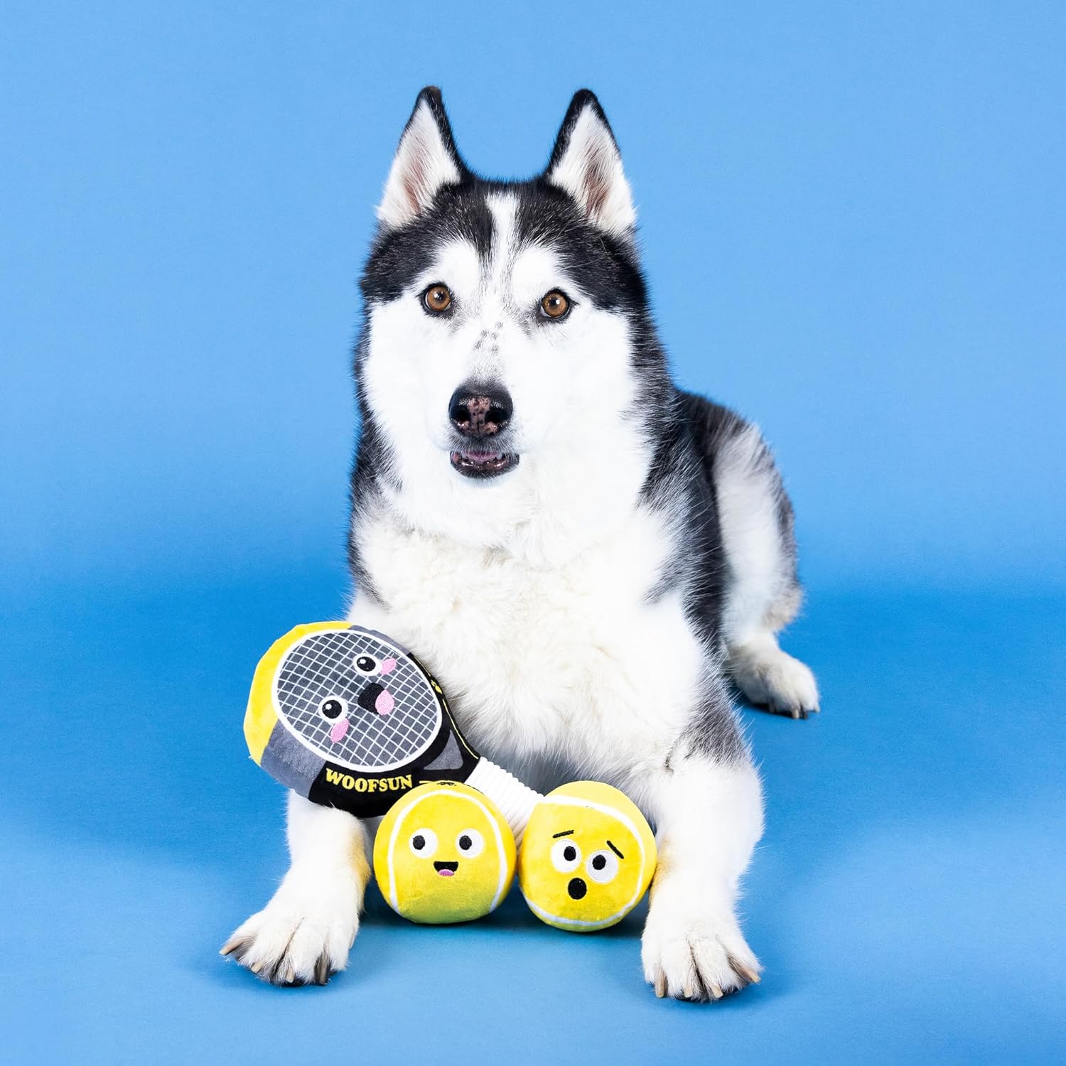 Petshop - SERVING ACES DOG TOYS - 3 PCS