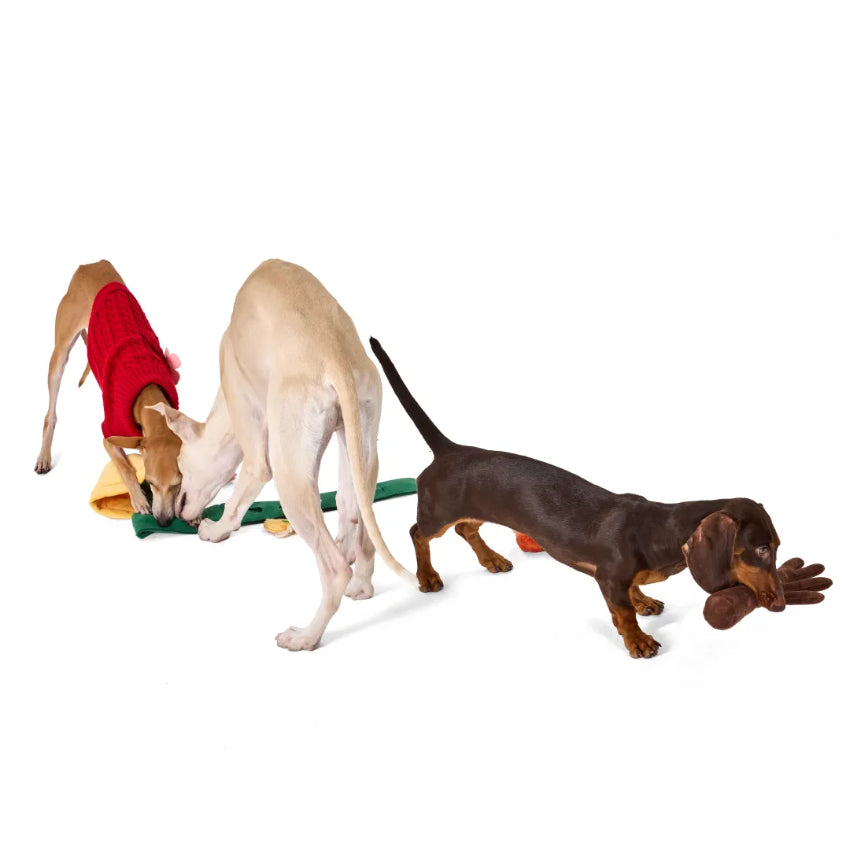 PP LAB - CNY Plant Sniffing Toy