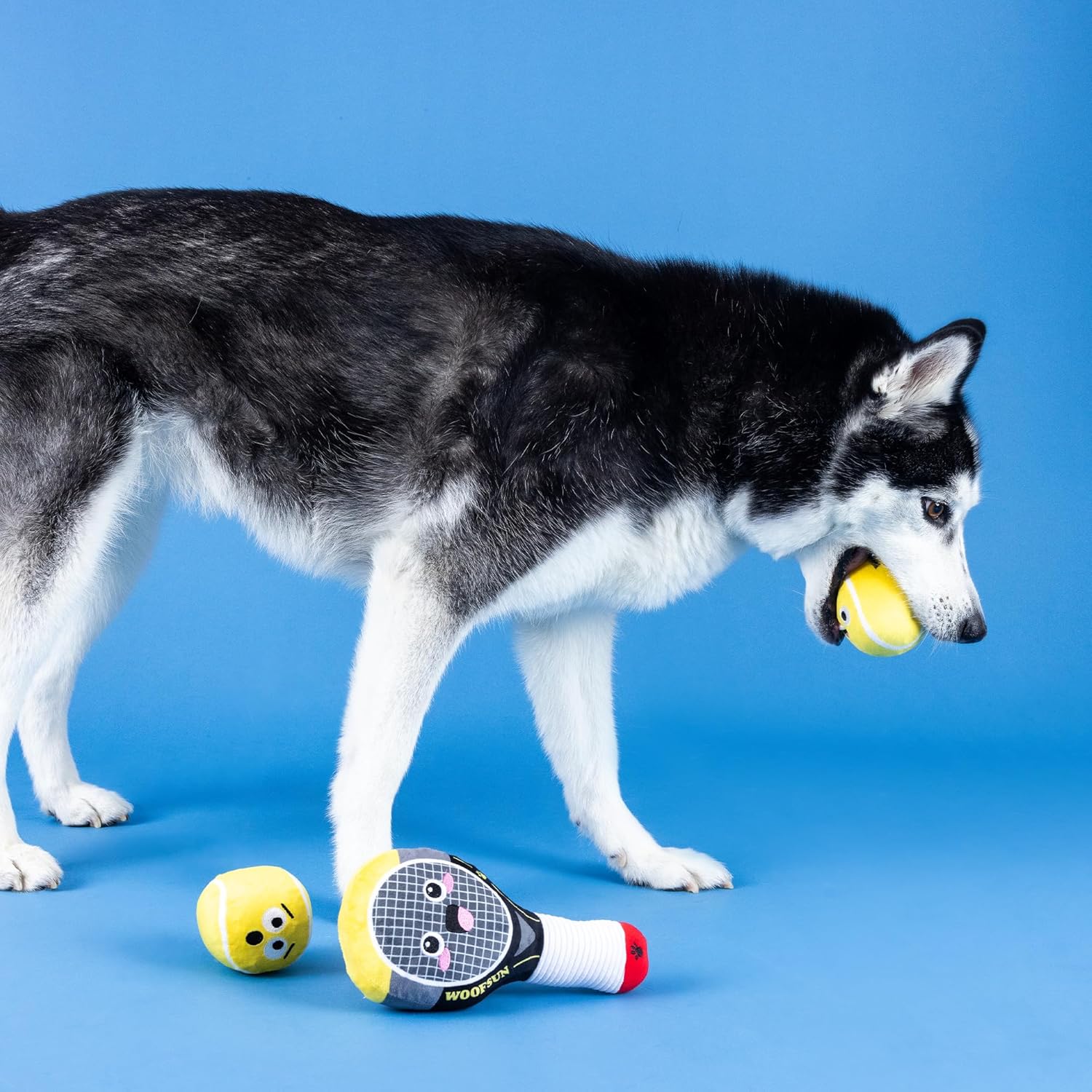 Petshop - SERVING ACES DOG TOYS - 3 PCS