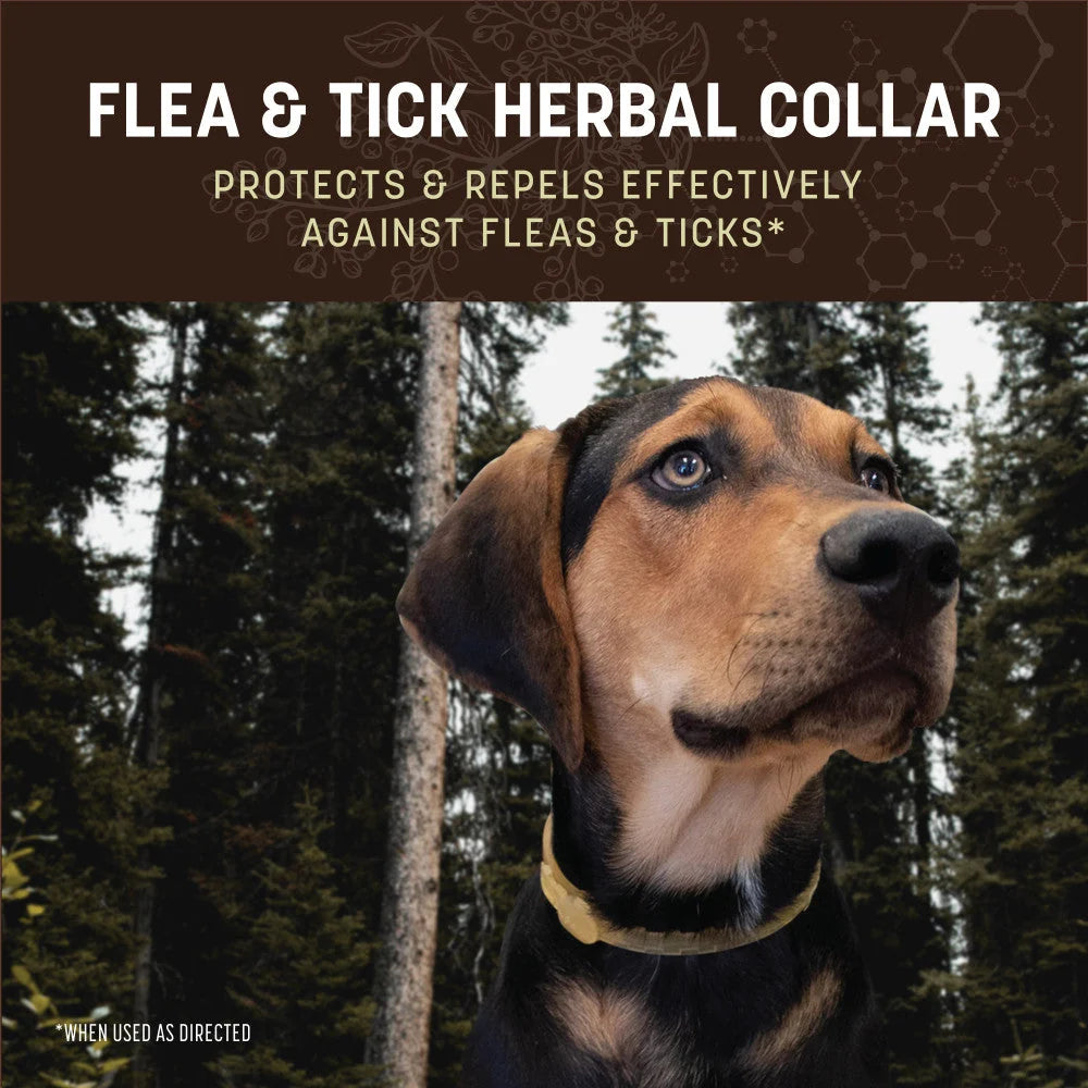 Earth Animal - Nature's Protection™ Flea & Tick Herbal Collar for Large Dogs