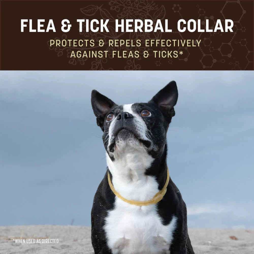 Earth Animal - Nature's Protection™ Flea & Tick Herbal Collar for Large Dogs