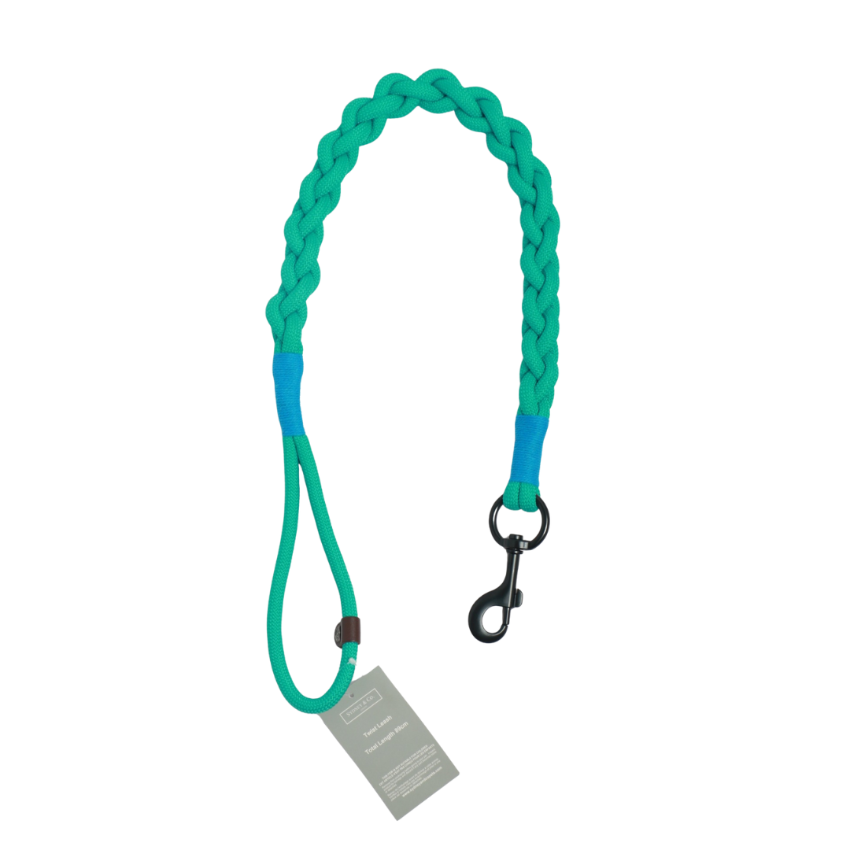 Sydney & Co. Twist Leash - Green