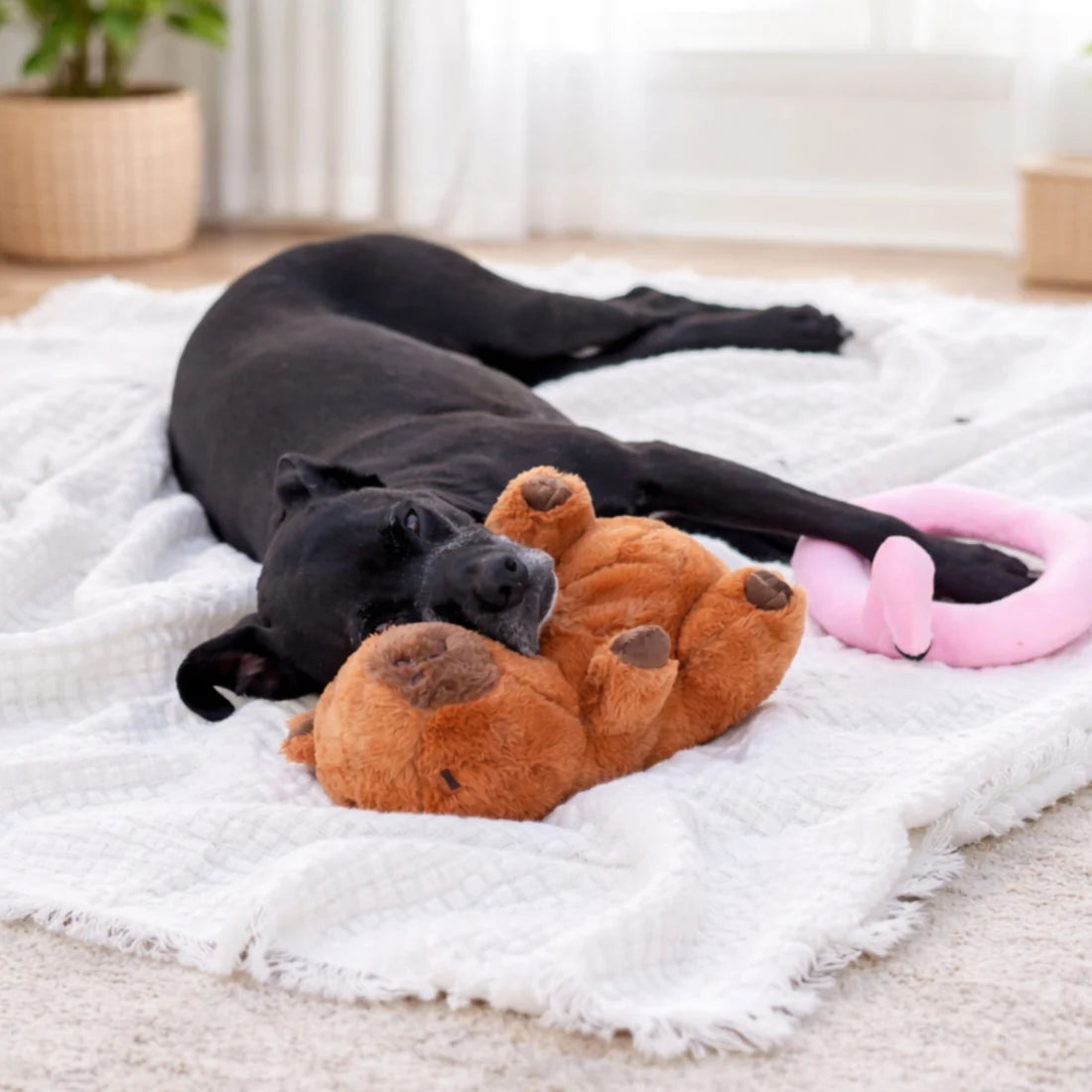 Patchwork Pet - Capybara with Flamingo Floaty Dog Toy (11 in)