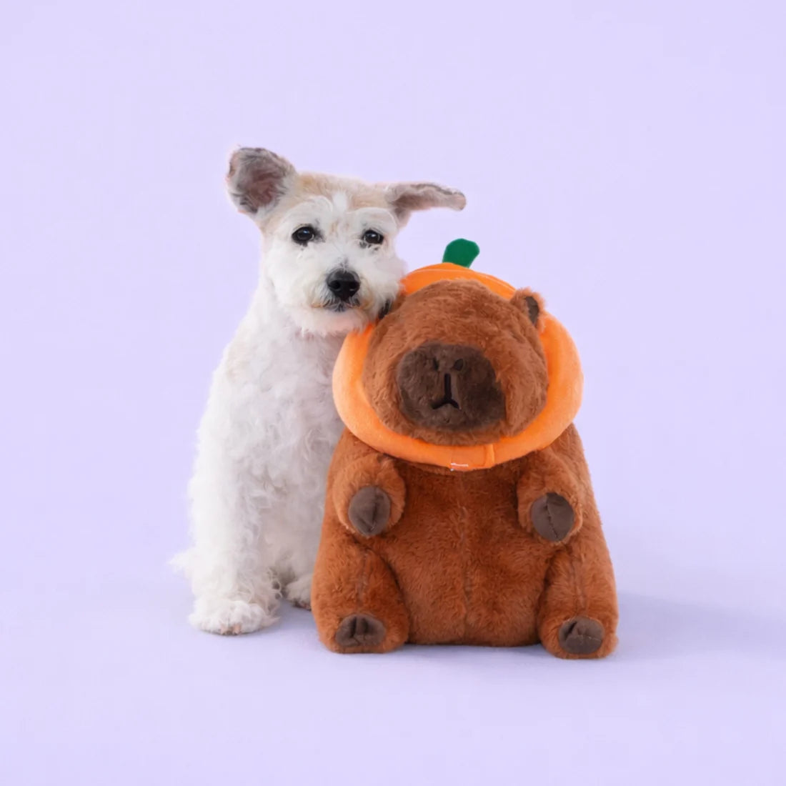 Patchwork Pet - 南瓜帽水豚毛絨狗狗玩具（11吋）