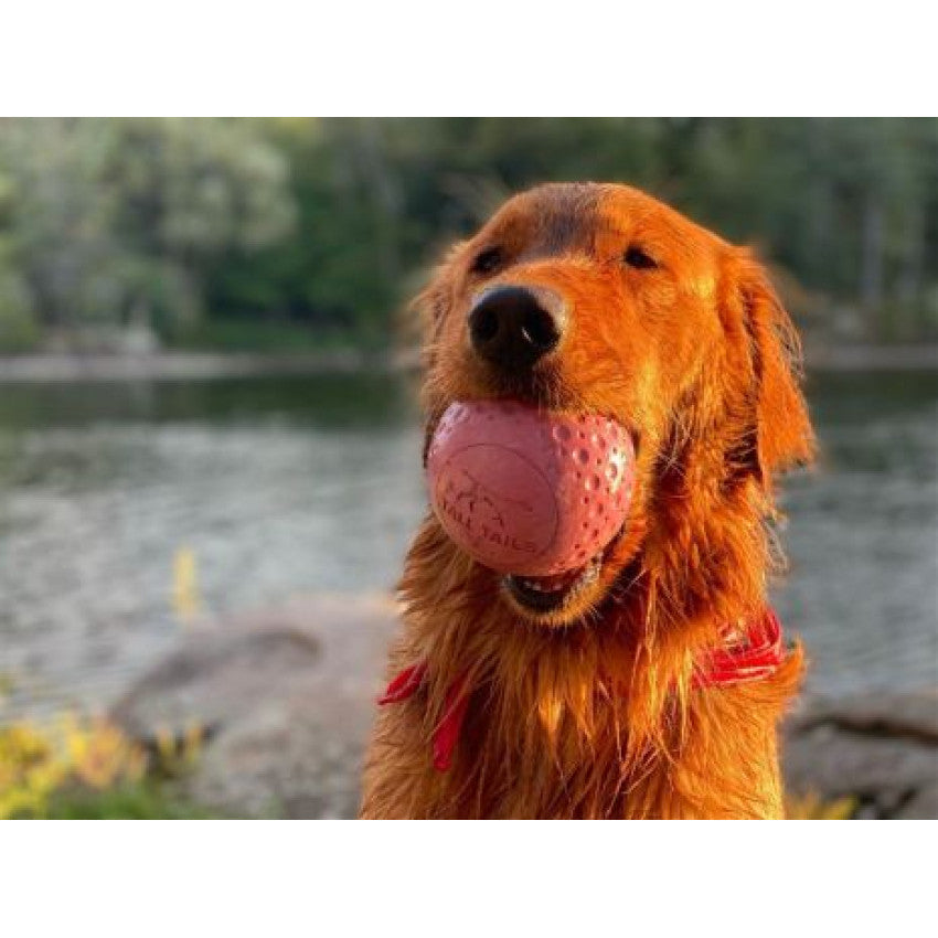Tall Tails Toy Rubber - G.O.A.T. Ball Medium - 3" Orange