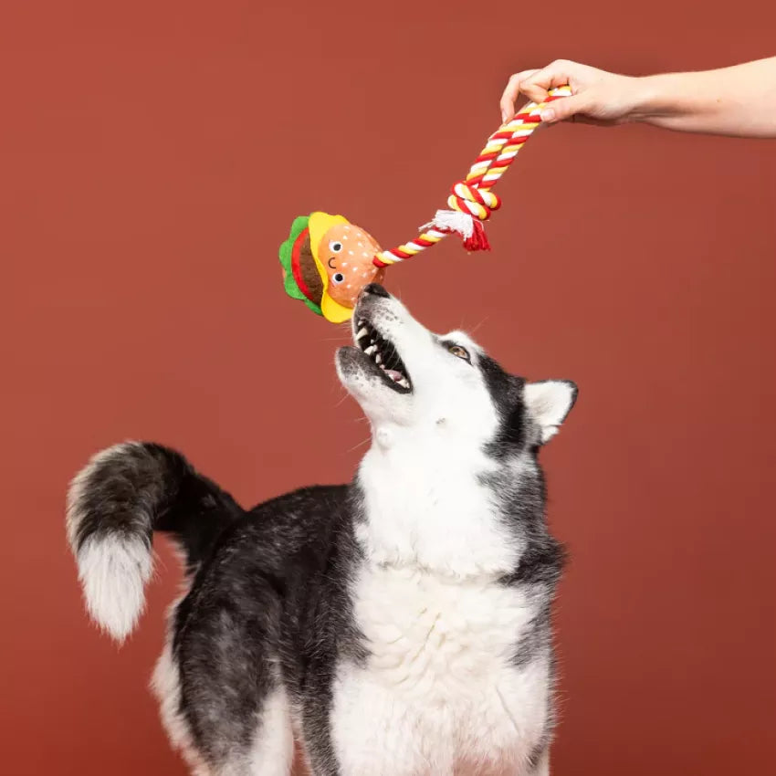 Petshop - YOU'RE THE BUN THAT I WANT ROPE DOG TOY