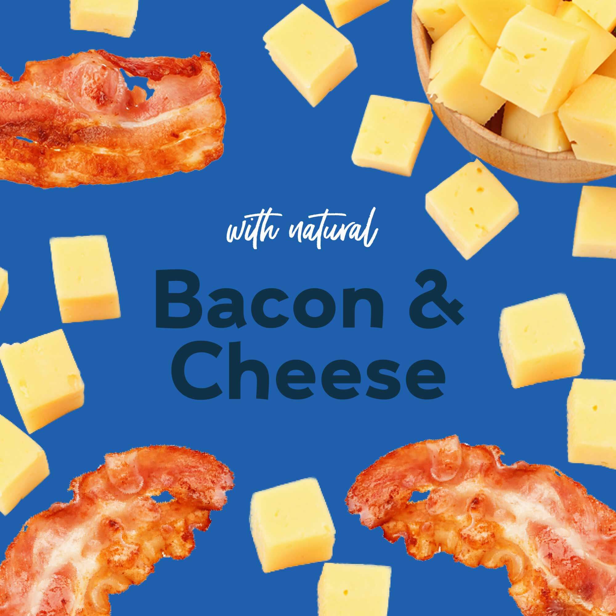 Buddy Biscuits Oven-Baked Crunchy Dog Treats - Bacon & Cheese