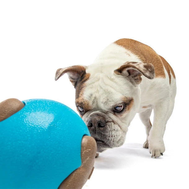 Guru Busy Ball Medium / Large