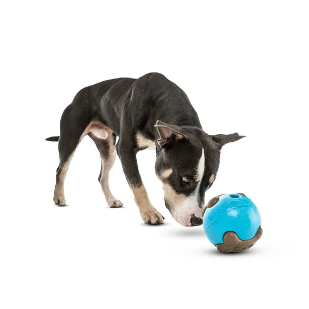 Guru Busy Ball Medium / Large