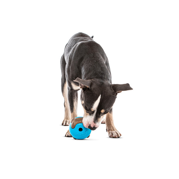 Guru Busy Ball Medium / Large