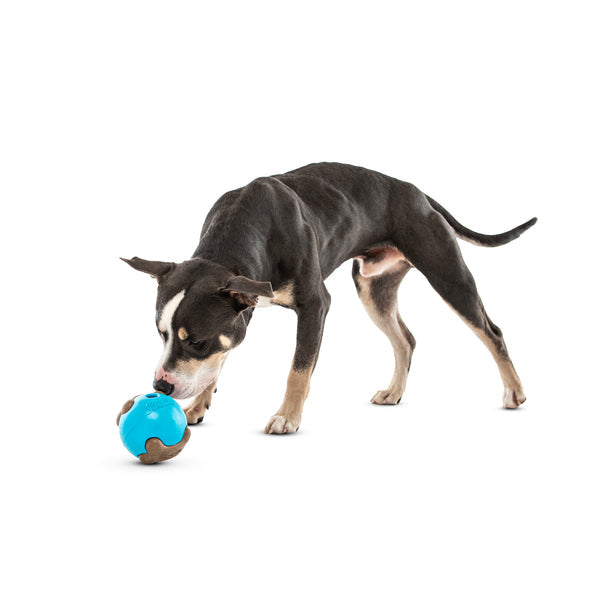 Guru Busy Ball Medium / Large