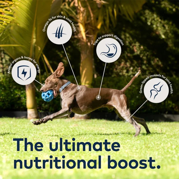 ZiwiPeak Air-Dried Dog Food - Lamb