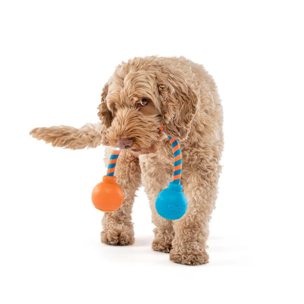 GURU Squeaking Rope 發聲互動繩玩具 (Medium)