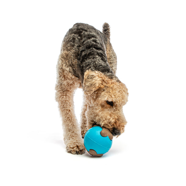 Guru Busy Ball Medium / Large