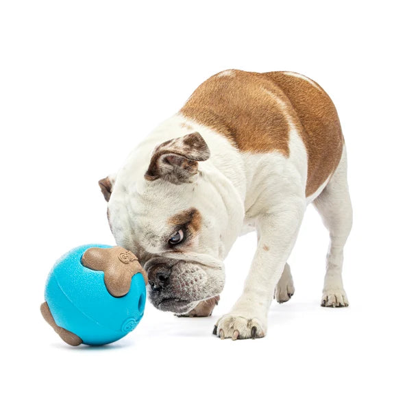 Guru Busy Ball Medium / Large