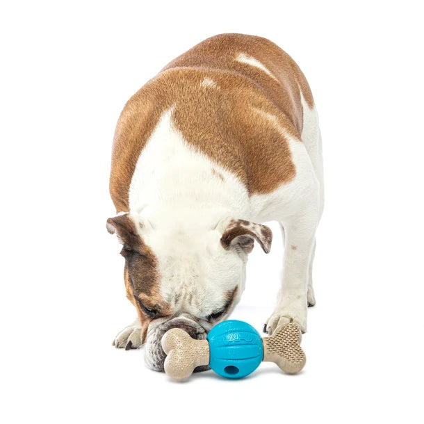 GURU Spin & Chew Bone 旋轉漏食咀嚼骨 (Medium)
