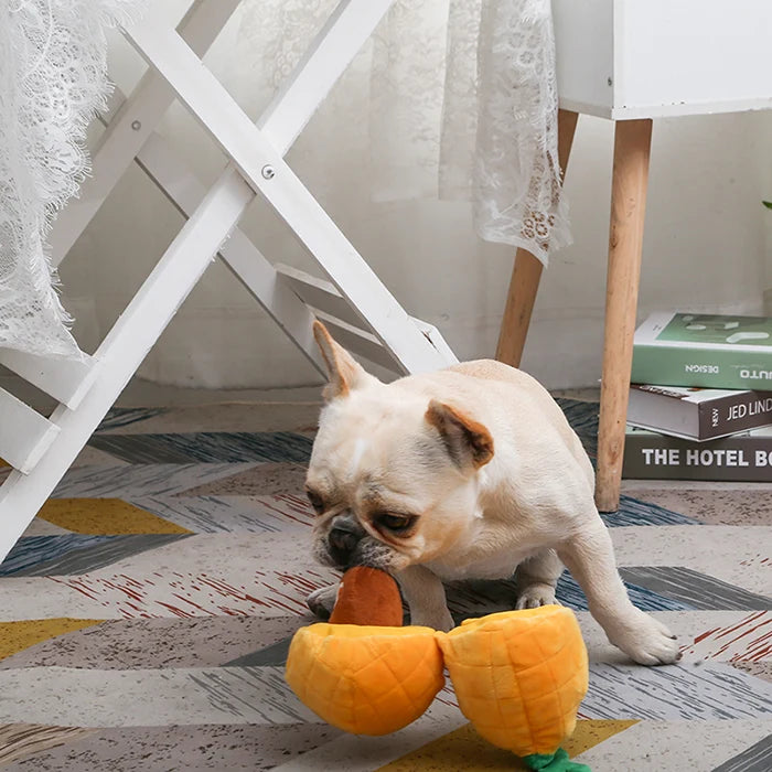 Hugsmart - Fruity Critterz - Pineapple Dog Toy