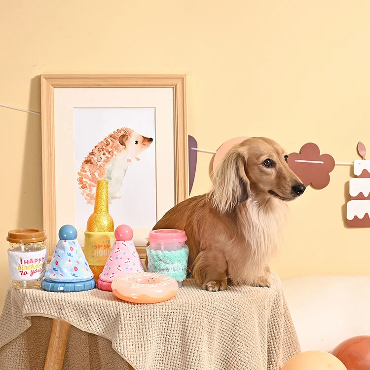 HugSmart Yappy Birthday Donut Dog Toy
