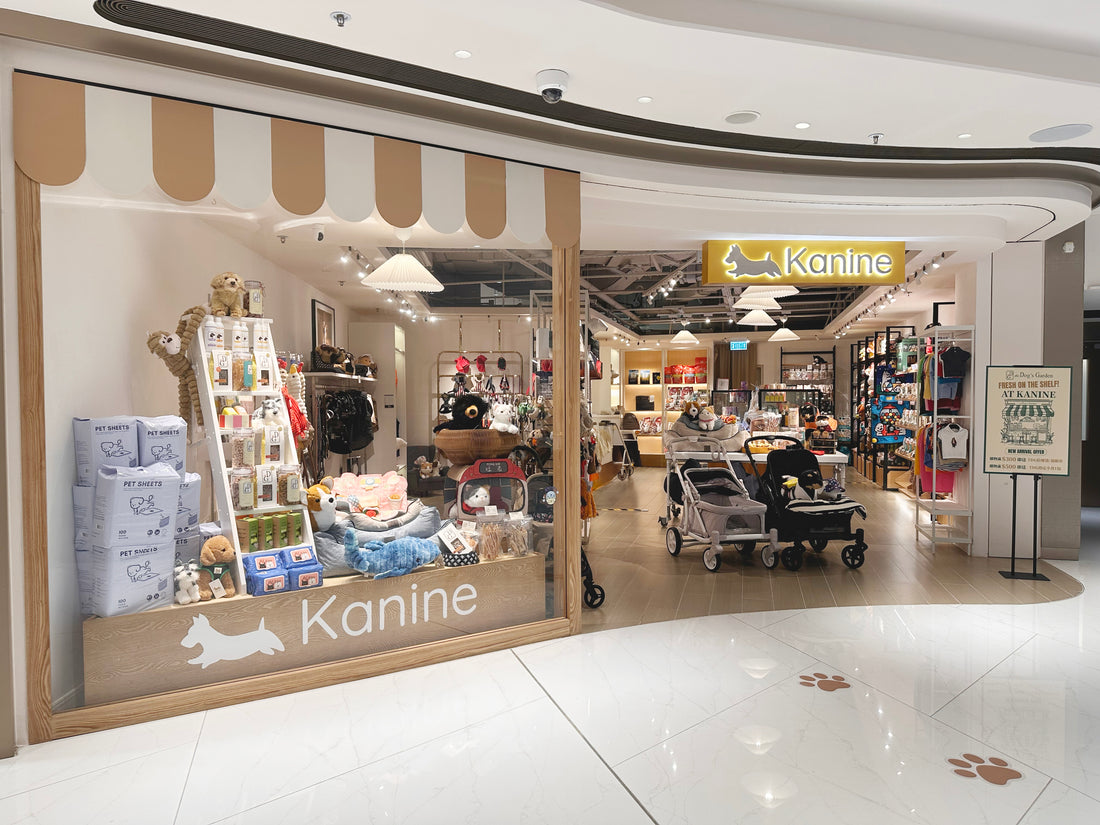 Wong Chuk Hang - The Southside - Kanine