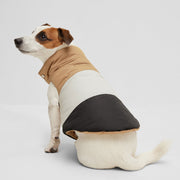 BOSS Dog Reversible Puffer Jacket