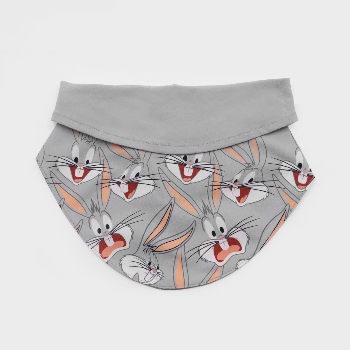 Looney Tunes Bib