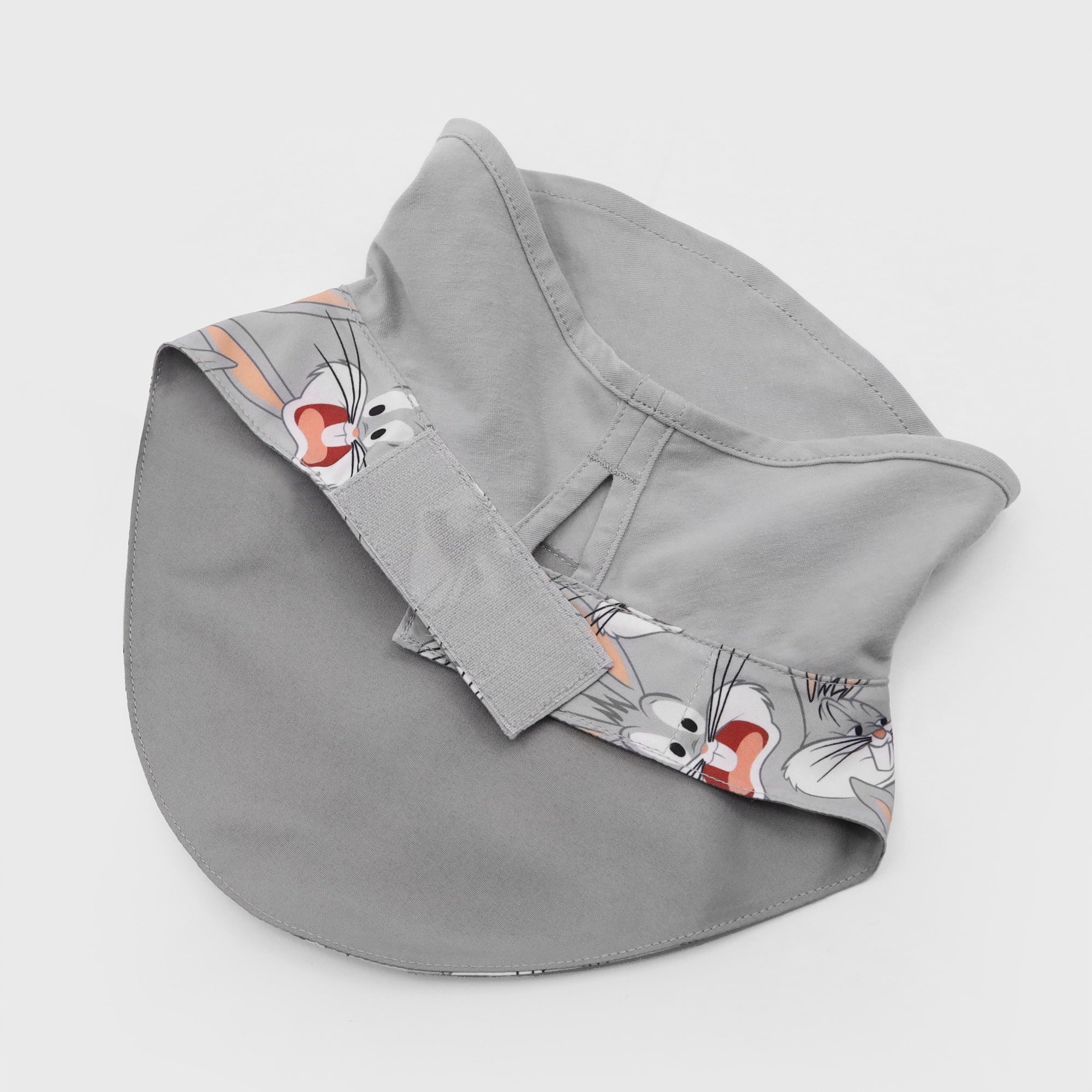 Looney Tunes Bib