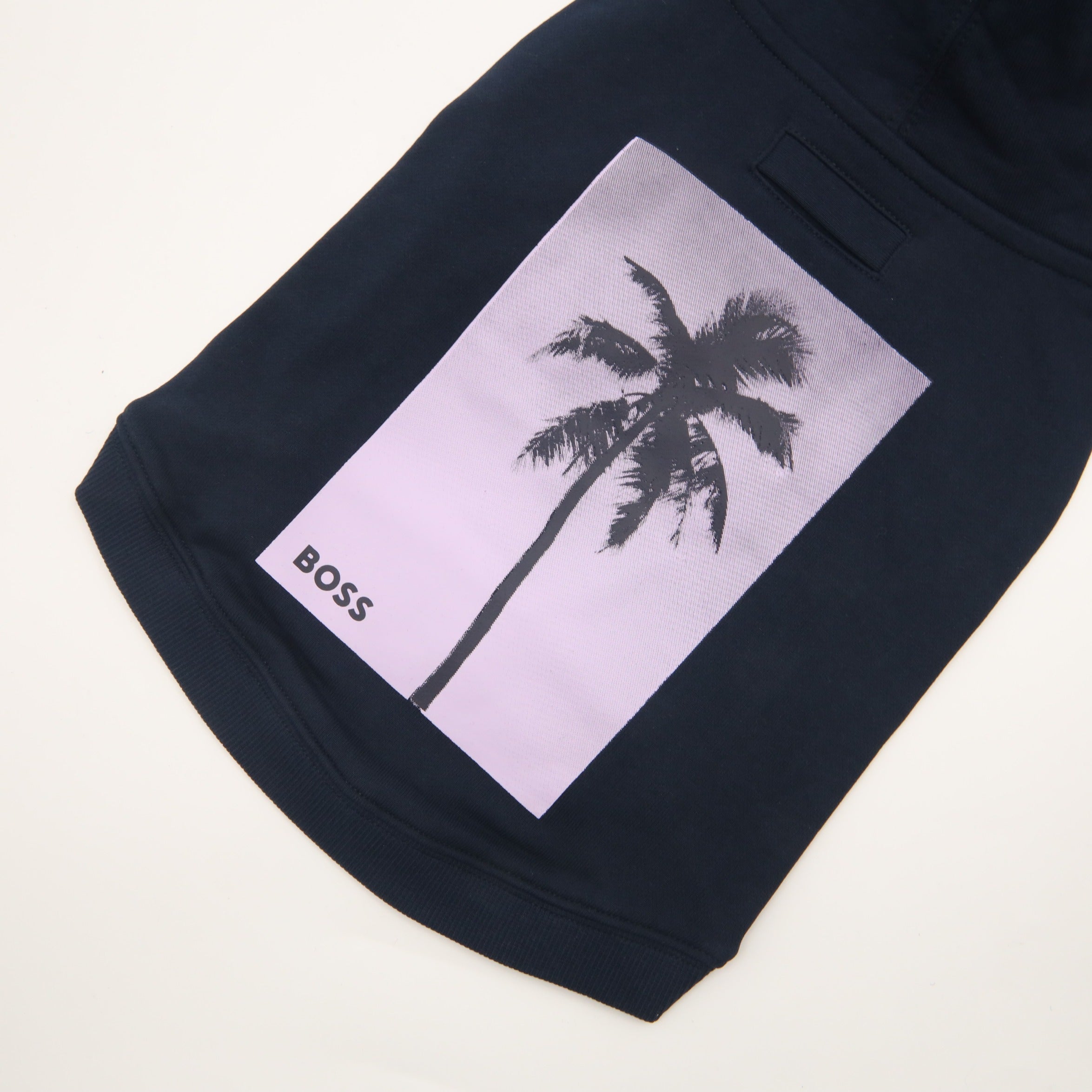 BOSS Dog Beach Hoodie