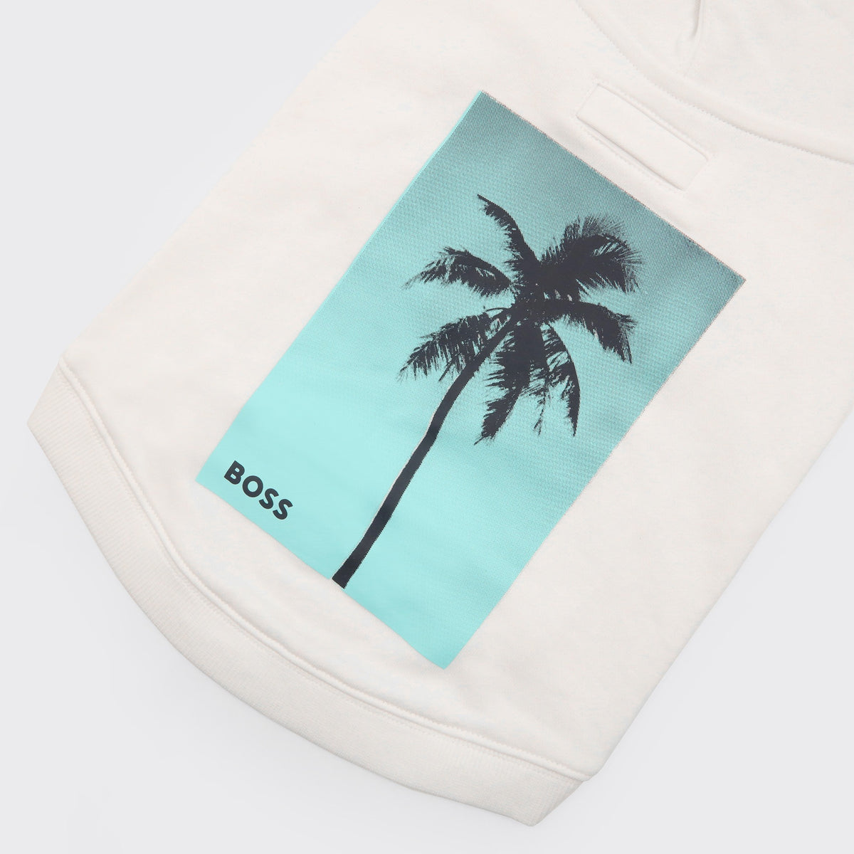 BOSS Dog Beach Hoodie
