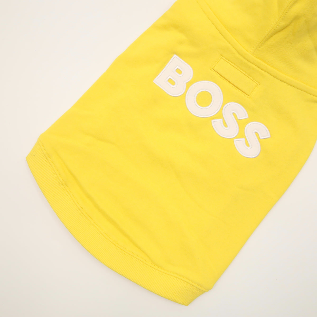 BOSS Dog Beach Hoodie