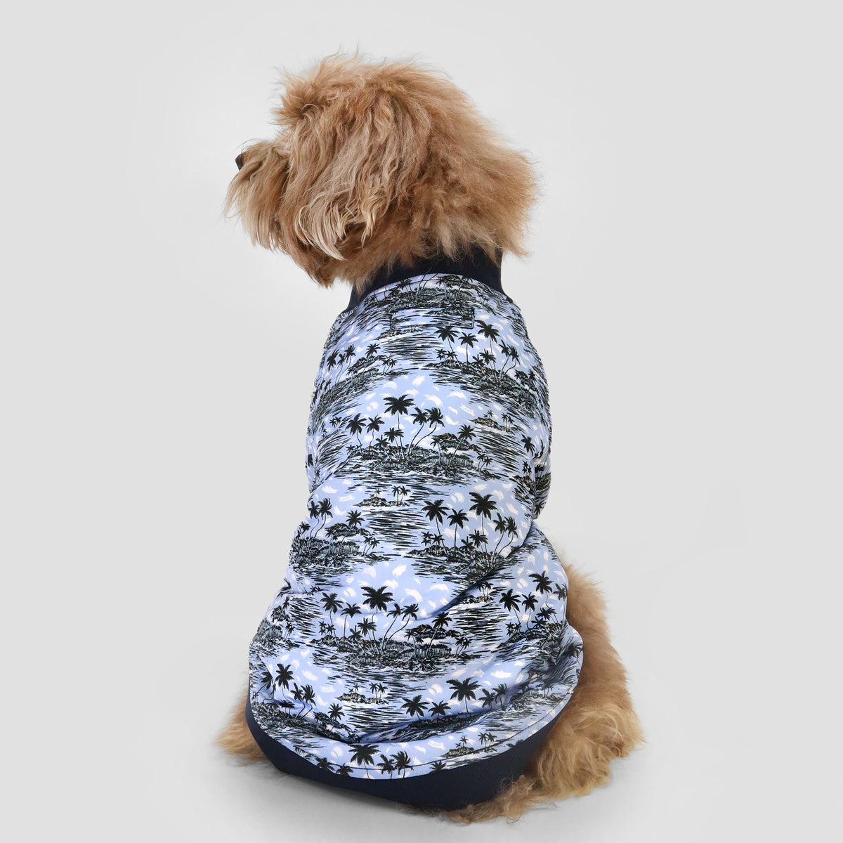 BOSS Dog Bomber Jacket