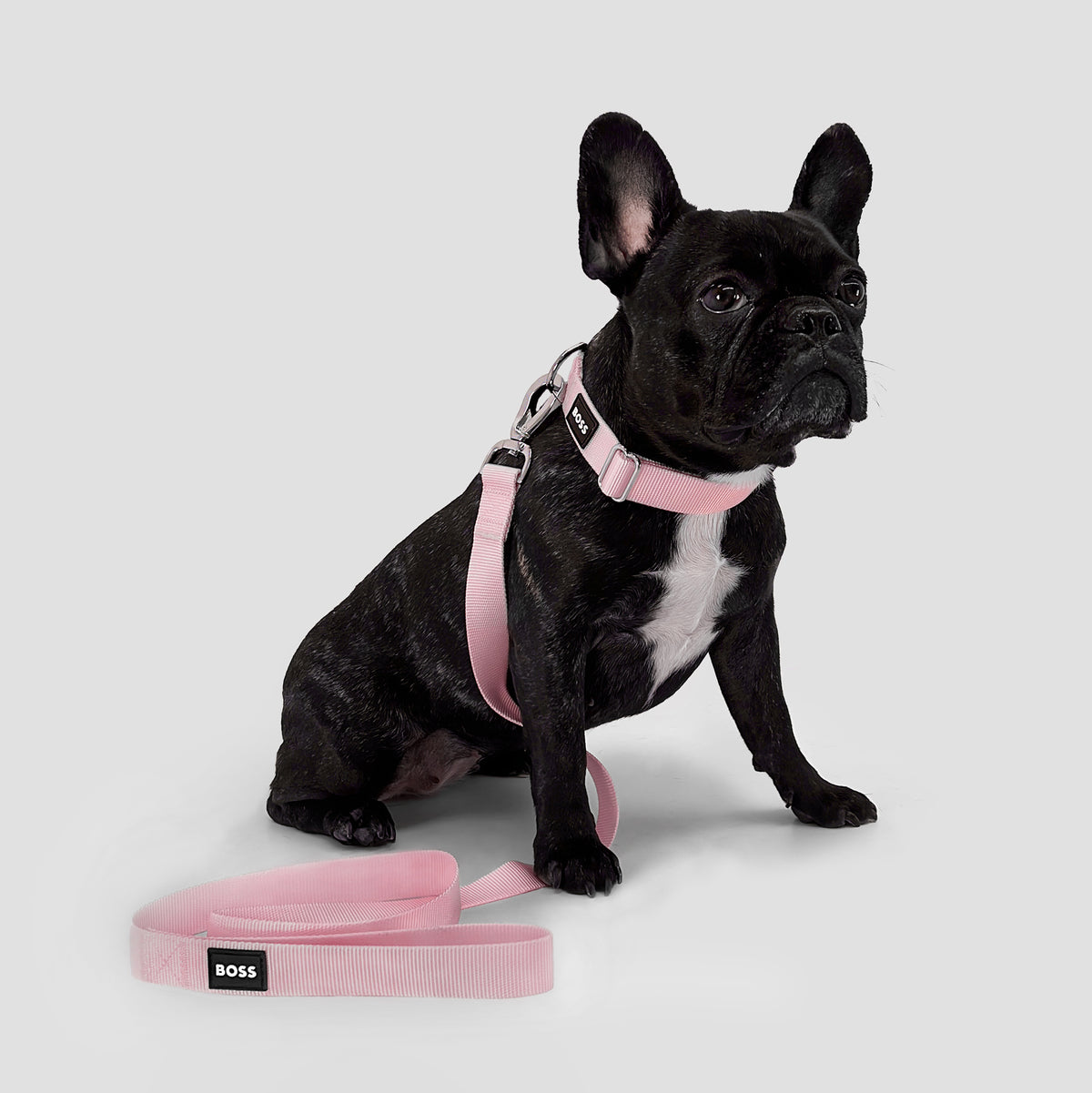 BOSS Dog Core Walk Leash