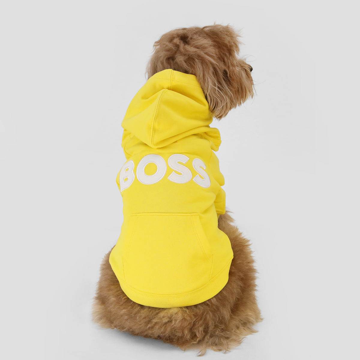 BOSS Dog French Terry Hoodie