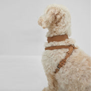 BOSS Dog Recycled Leather Collar