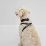 BOSS Dog Recycled Leather Harness