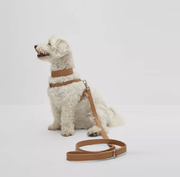 BOSS Dog Recycled Leather Leash