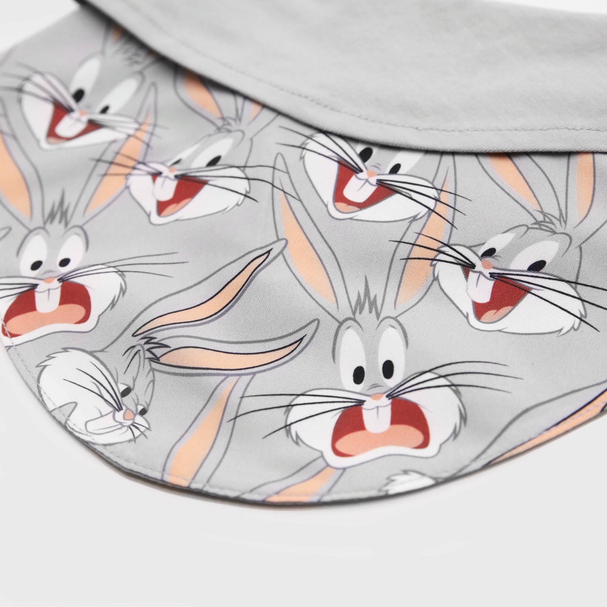 Looney Tunes Bib