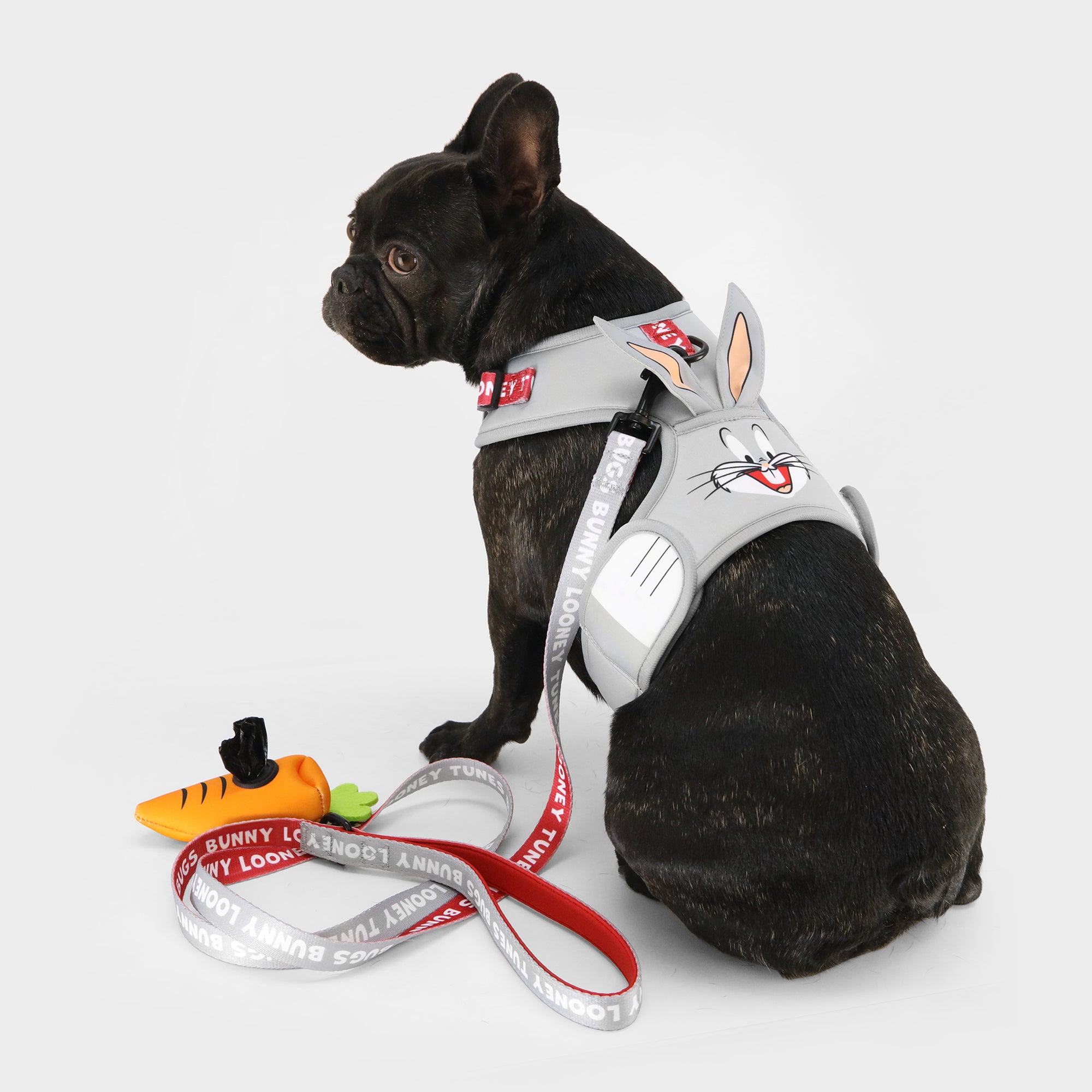 Bugs Bunny Harness and Leash Set